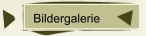  Bildergalerie
